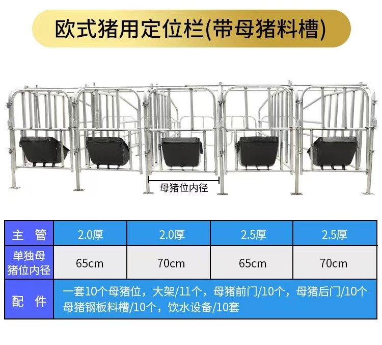 养猪场母猪定位栏的用处与特点图2