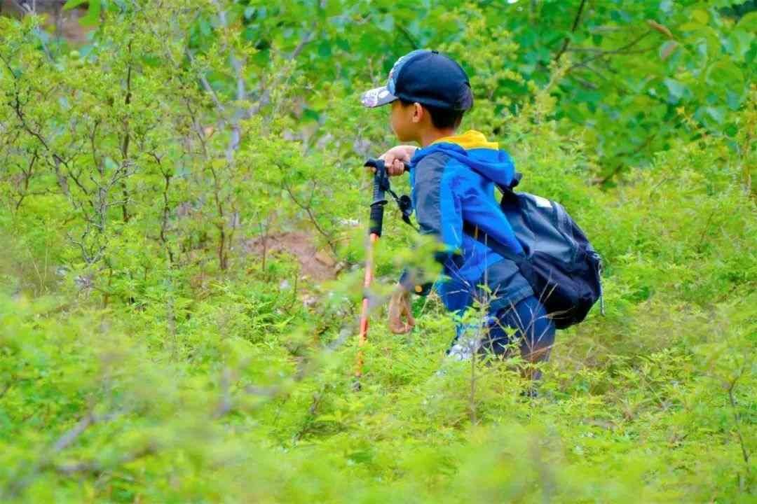 苏州三六六社会实践中小学自然科考研学旅行山野徒步体验探索活动图2