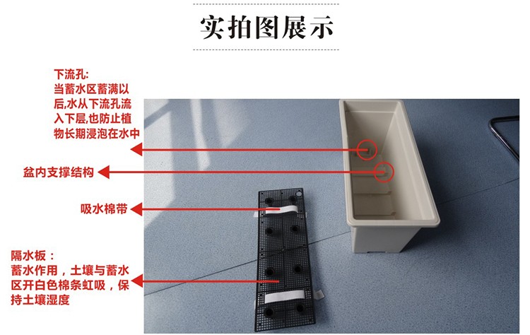 高架桥蓄水花盆 蓄水好养护的懒人花盆图7