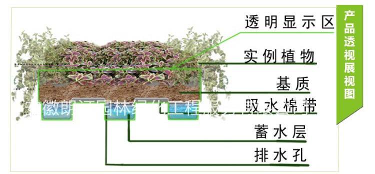 屋顶庭院露台种花种菜盆 屋顶蓄水好养护花盆图4