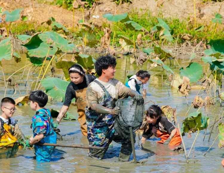 苏州研学基地趣味挖藕三六六社会实践邀你共赴田野体验探秘之旅图2